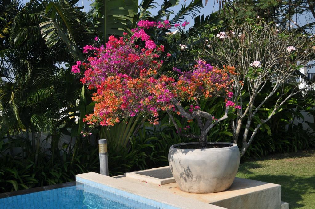 Balinese Villa With Private Pool Хуа Хин Экстерьер фото